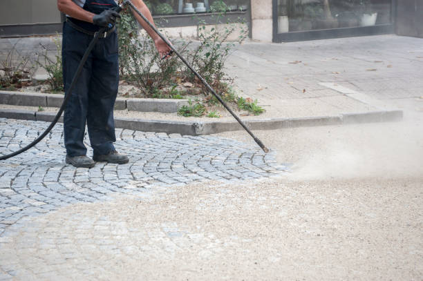 Best Restaurant Pressure Washing  in Palacios, TX